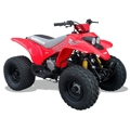 Quadzilla R100 Junior Off Road Quad bike